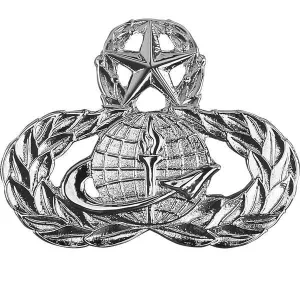 Air Force Badge: Officer Force Support: Master - midsize